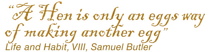 &ldquo;A Hen is only an eggs way of making another egg&rdquo; - Life and Habit, VIII, Samuel Butler