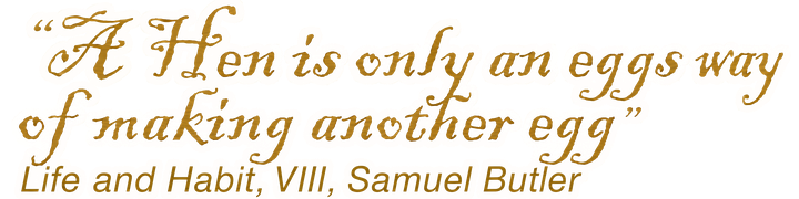 &ldquo;A Hen is only an eggs way of making another egg&rdquo; - Life and Habit, VIII, Samuel Butler