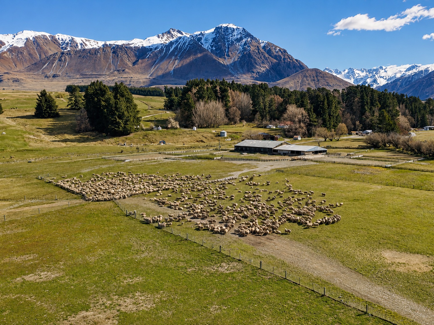 Fishing in the braided Rangitata River